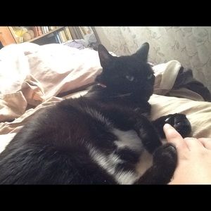 Meet your Posher, Chloe